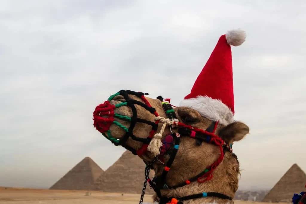 Egypt Christmas Tour | Christmas 2024 Egypt Tours | Egypt Christmas Vacation